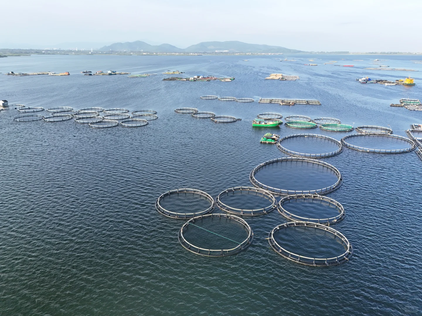 赶海的尽头是海钓的开始🌊