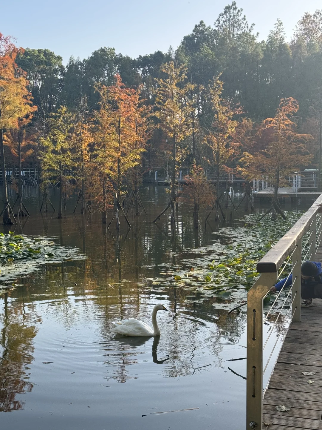 林科院里有什么