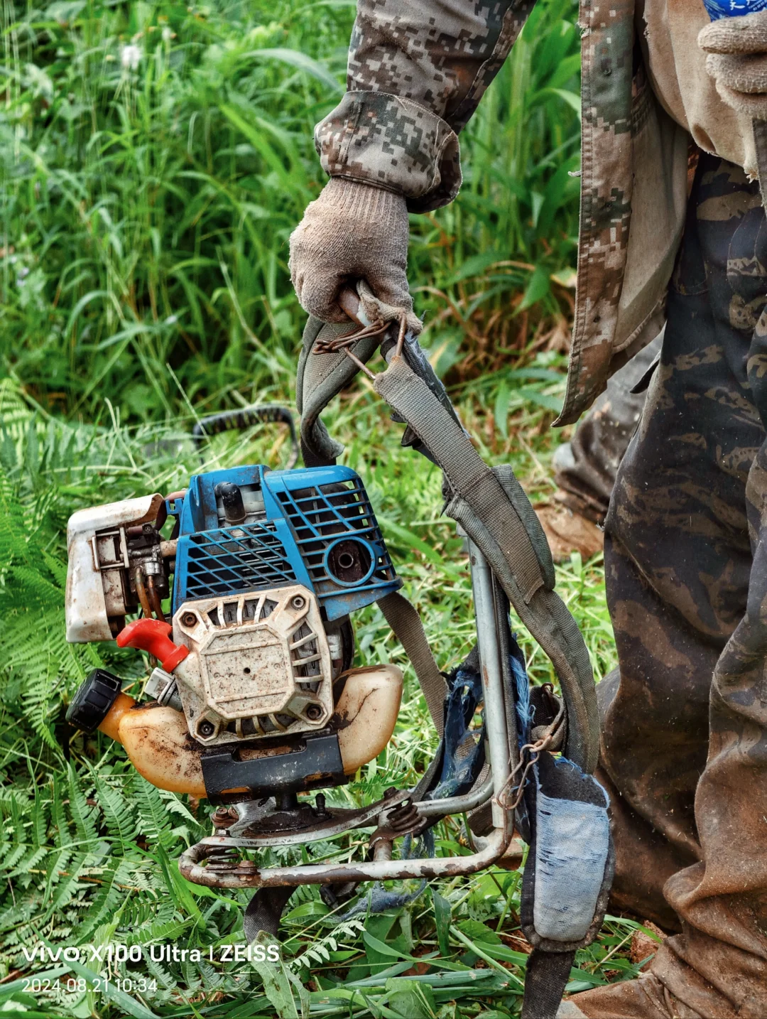 坚持人工除草！是新农人的第一步坚守……