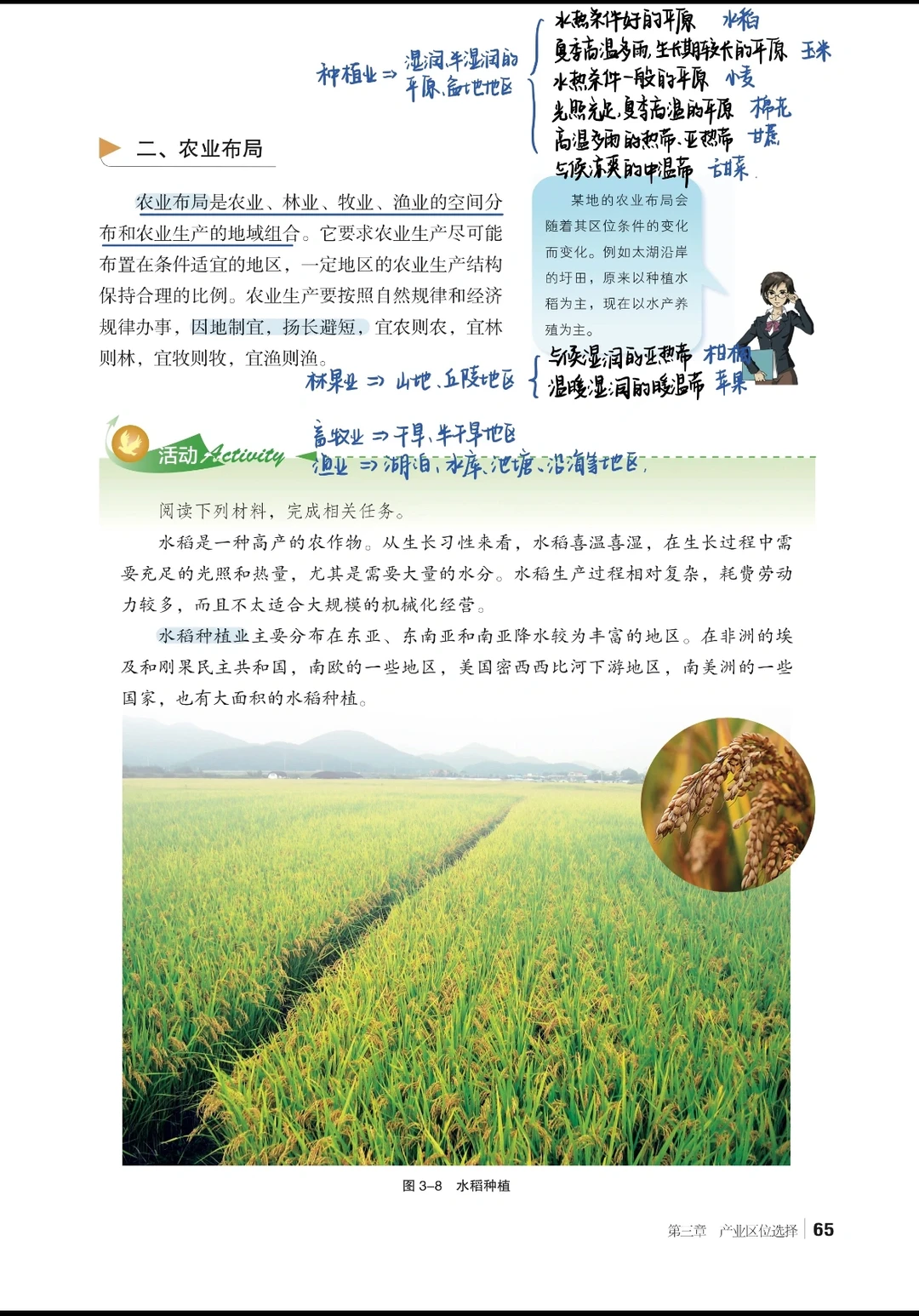 3.1农业区位因素与农业布局高中地理湘教版