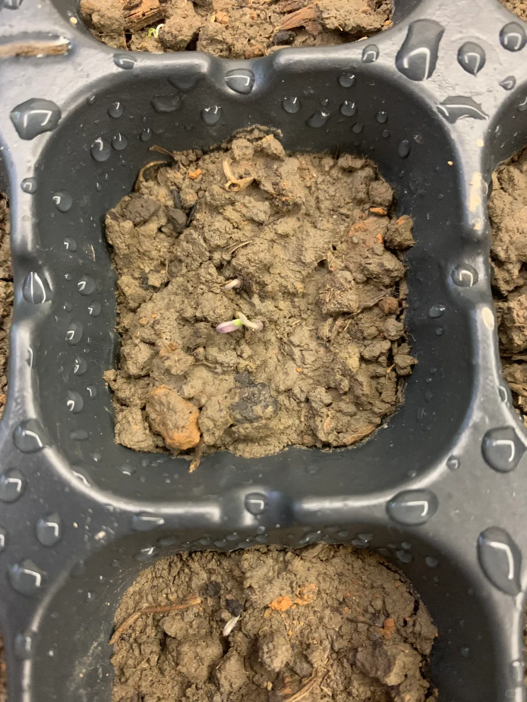 农民也要实习的～～种地吧