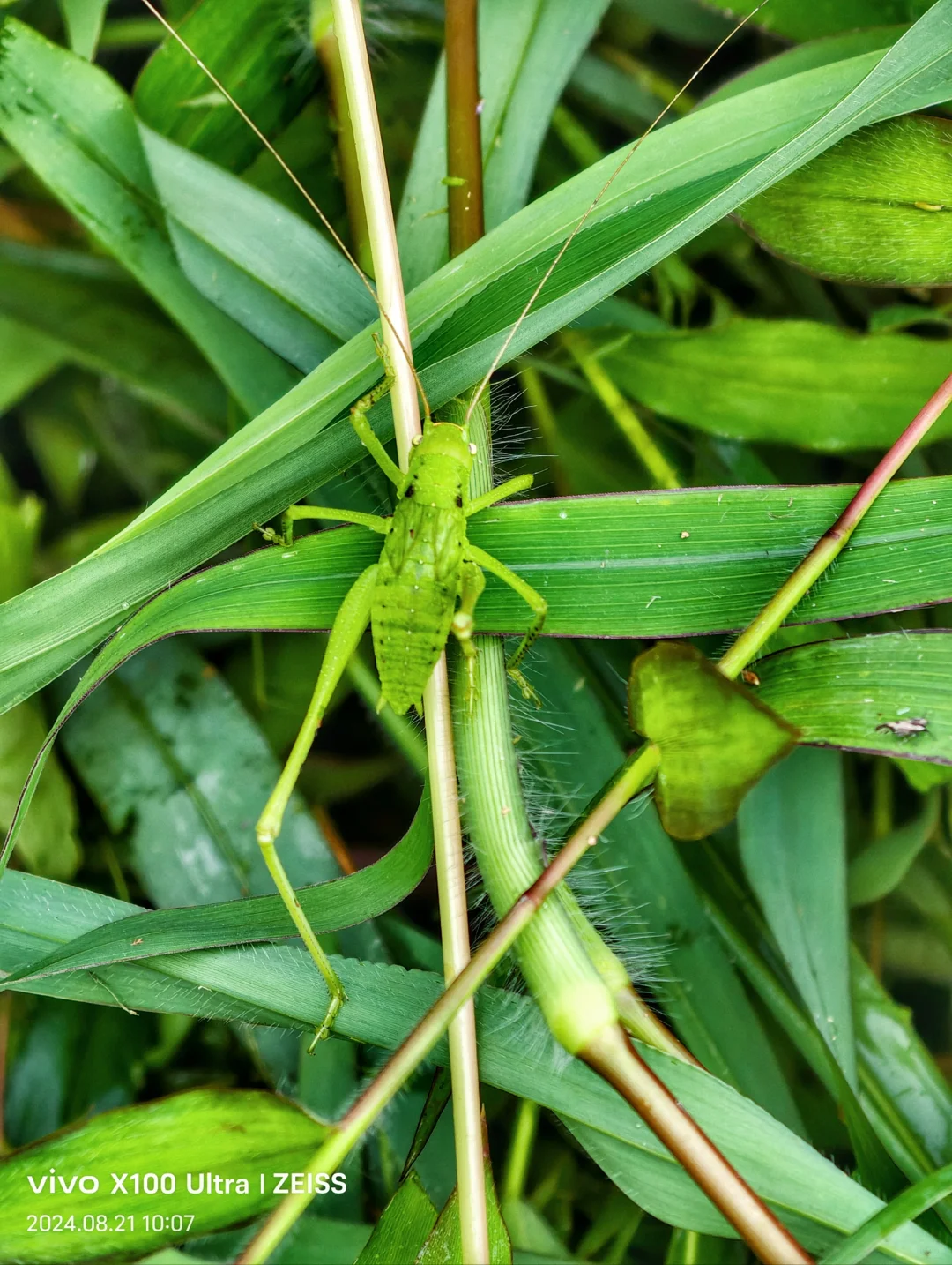 坚持人工除草！是新农人的第一步坚守……