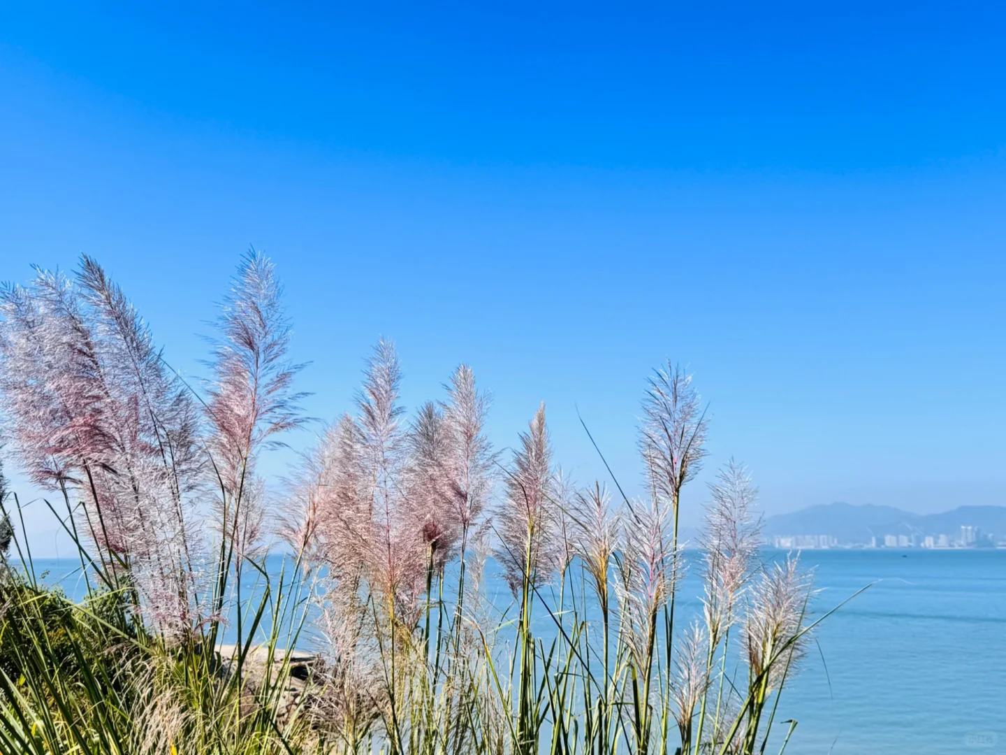 记录【惠东•巽寮湾】11.29晴