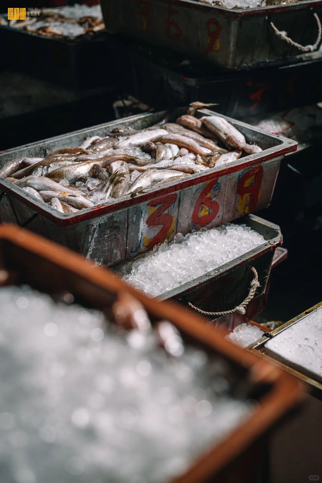 凌晨三点的渔村温度