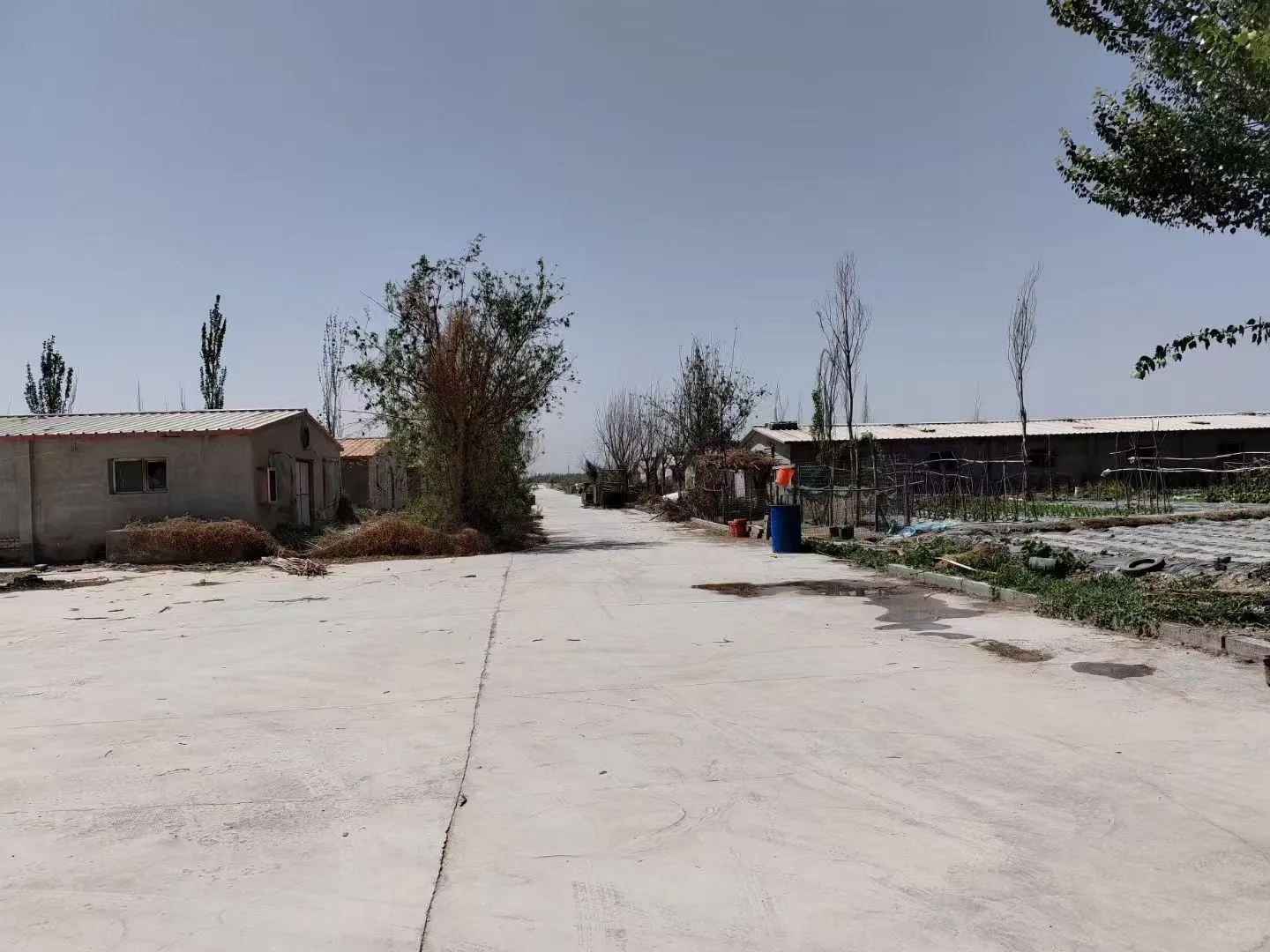 大型养猪场出租