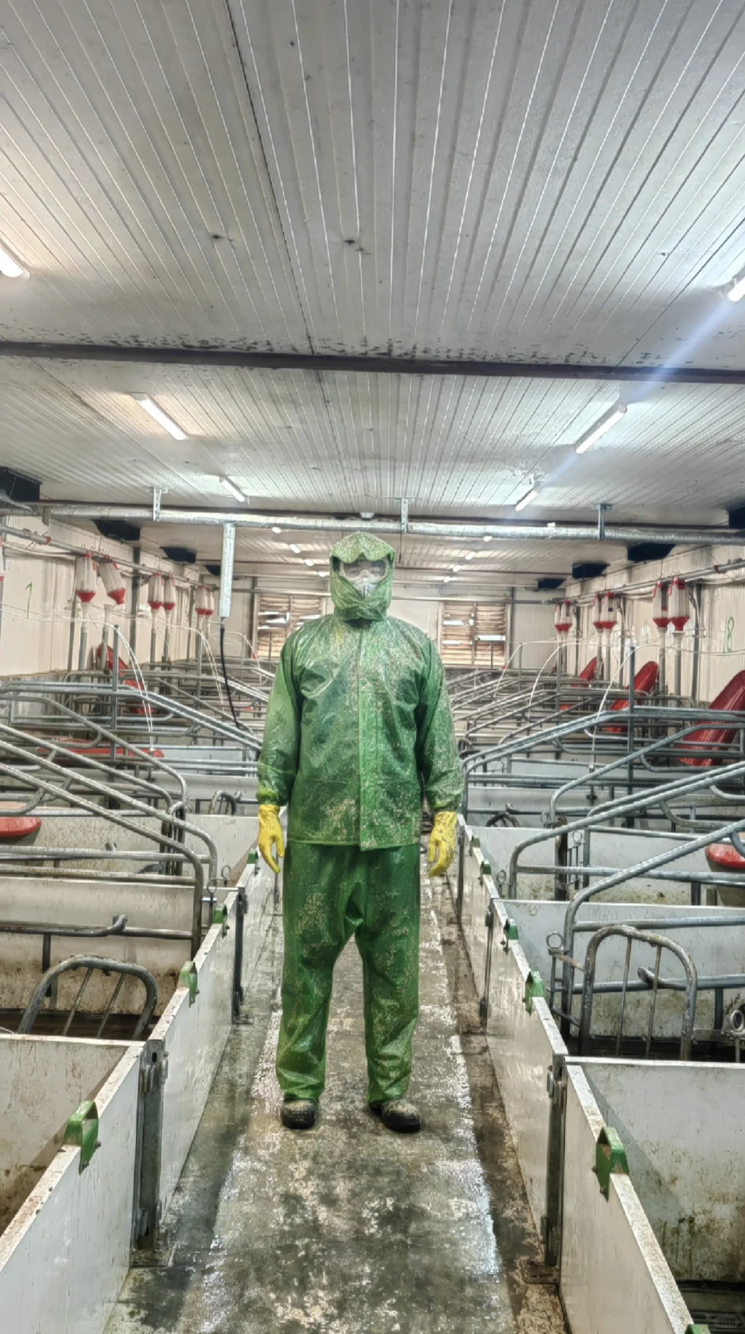 从猪圈到小红书总部，我花了两年半。