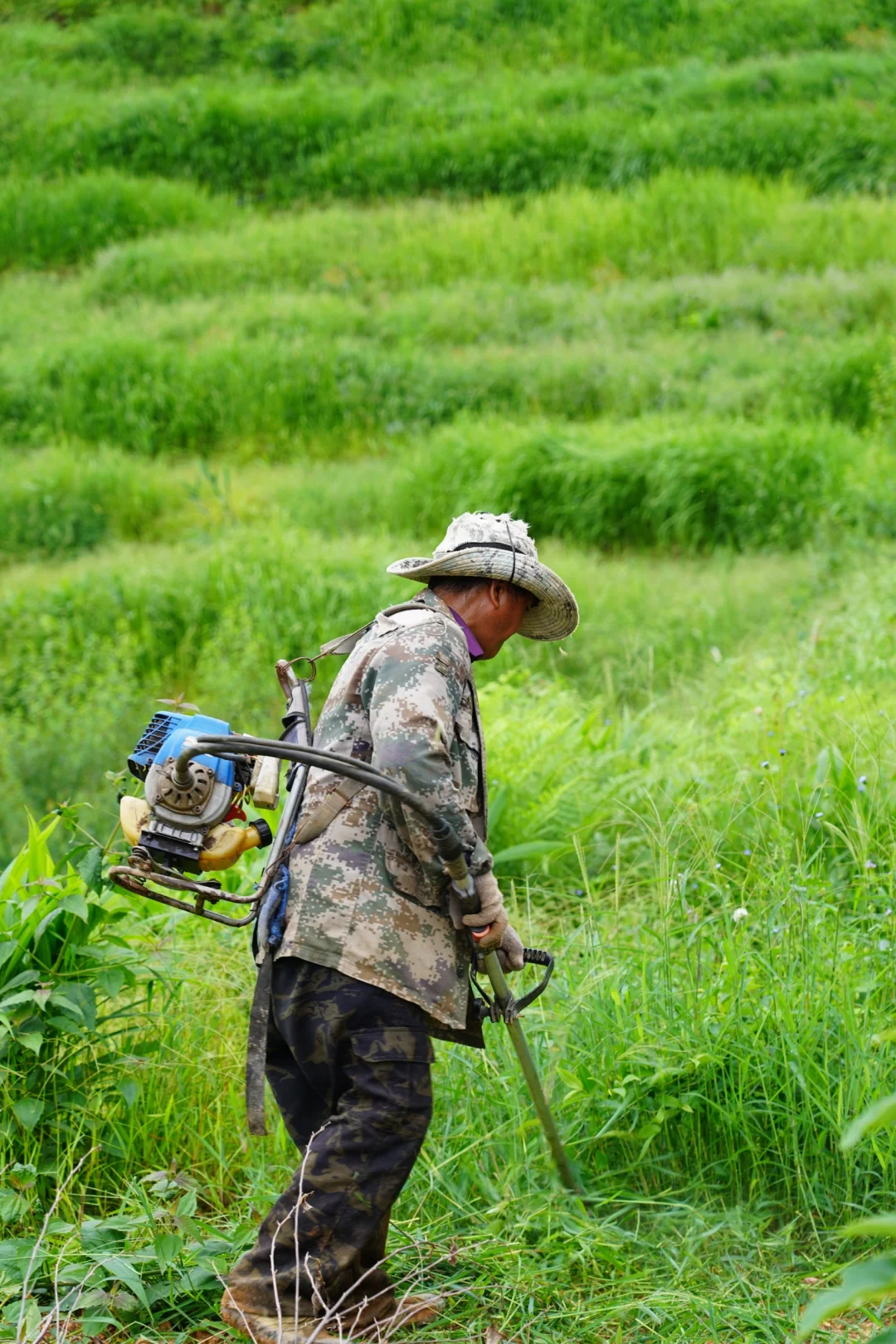 坚持人工除草！是新农人的第一步坚守……