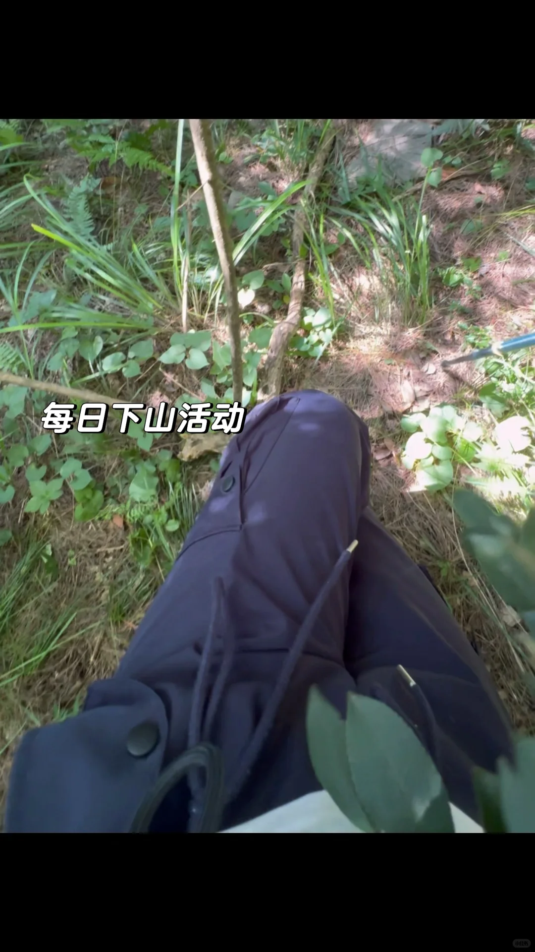 林业女研究生外业日常🧩