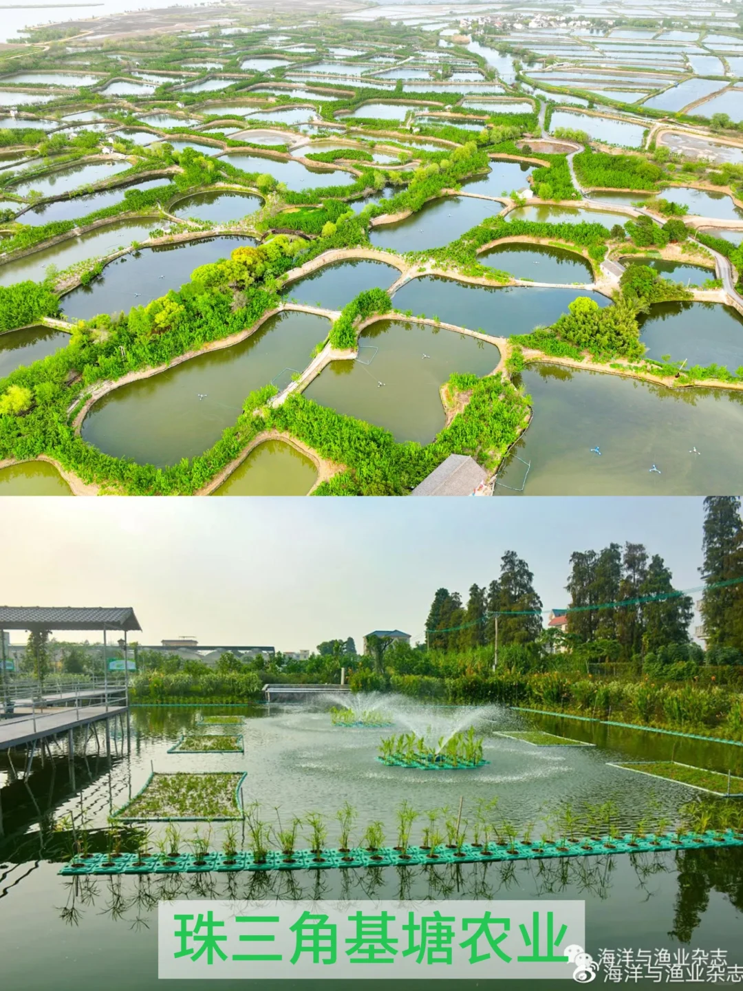 高中地理知识：3️⃣种立体农业