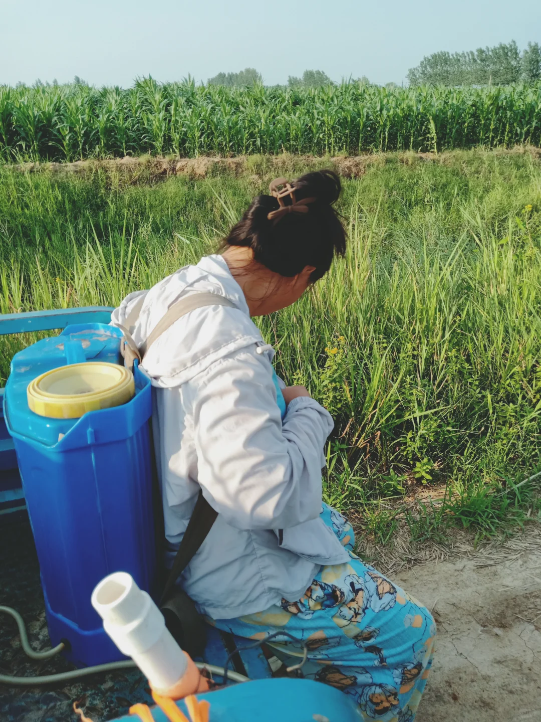 网上说种地已经成了中产们的新趋势