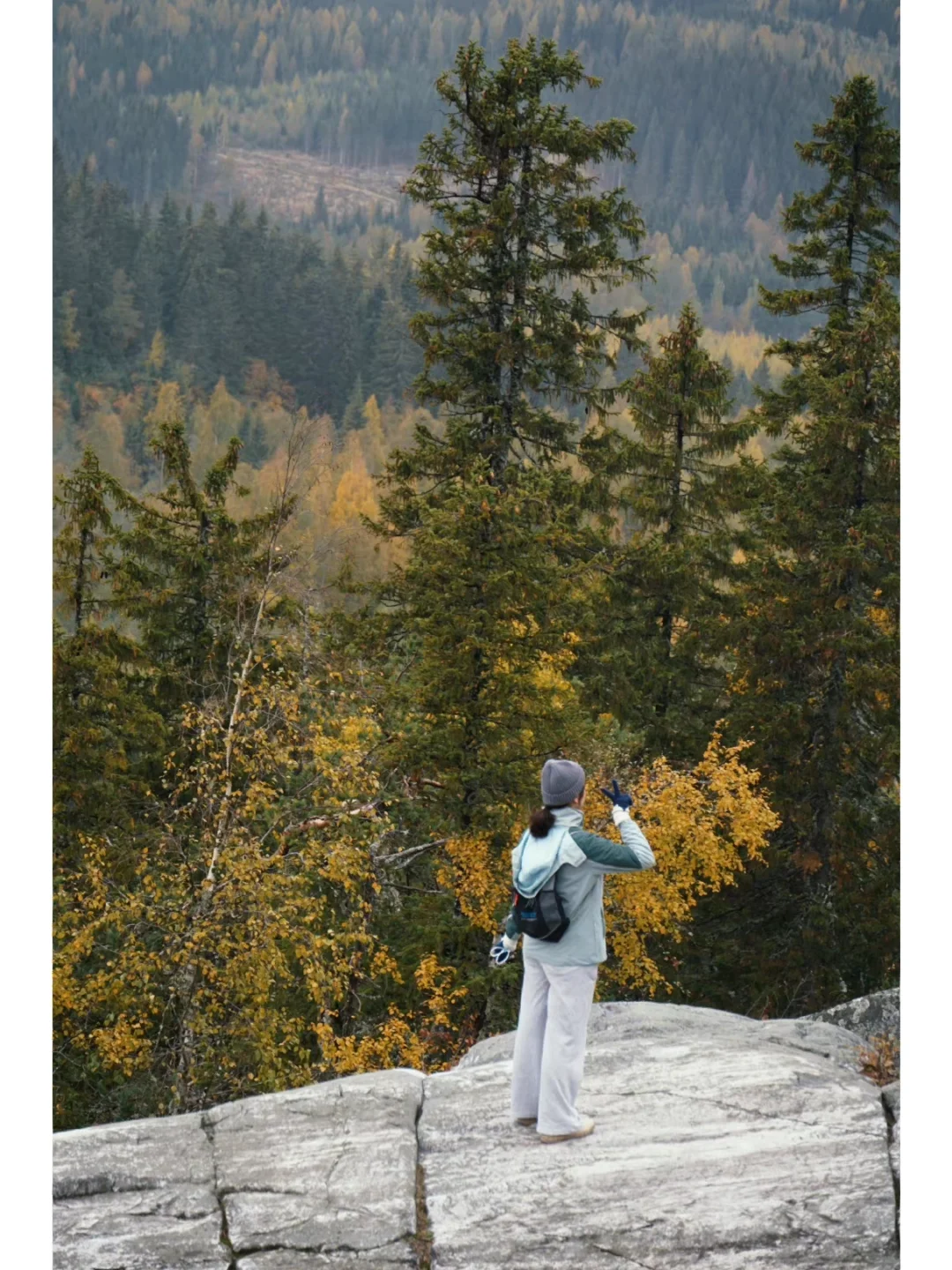 林学到底是什么东西我浅谈一下