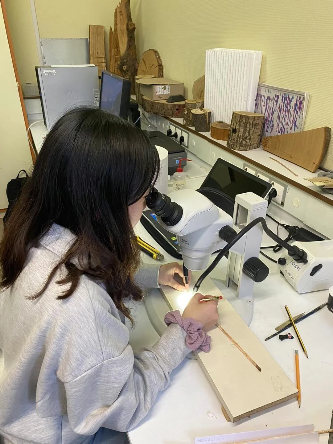 林学到底是什么东西我浅谈一下