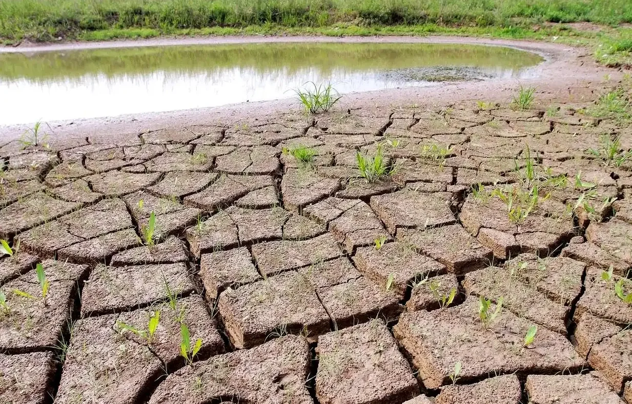 河南遭遇近25年以来最严重旱情 让人心疼！