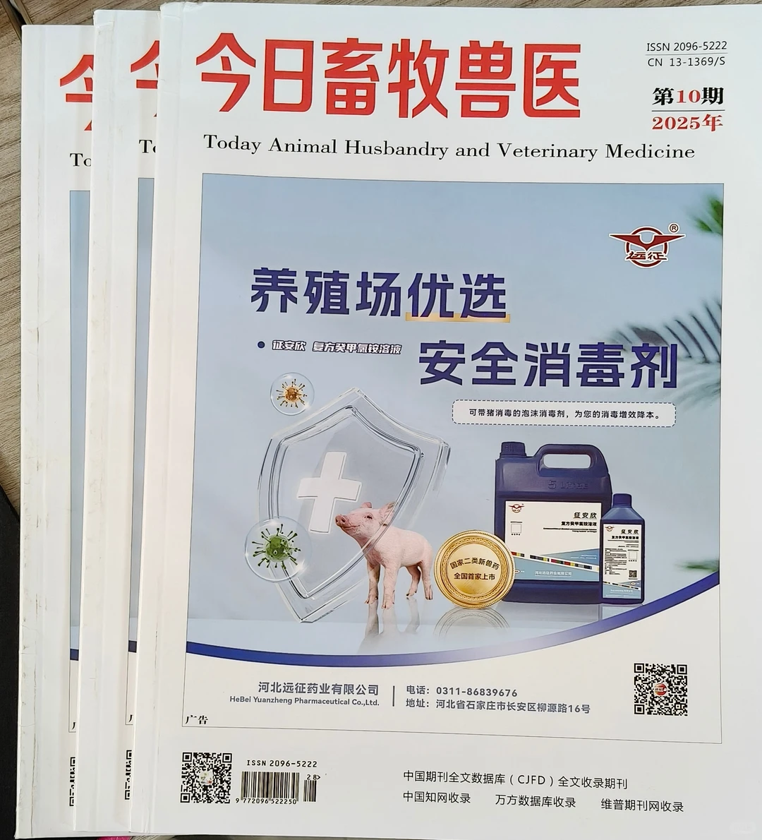 《今日畜牧兽医》过稿🥰🥰