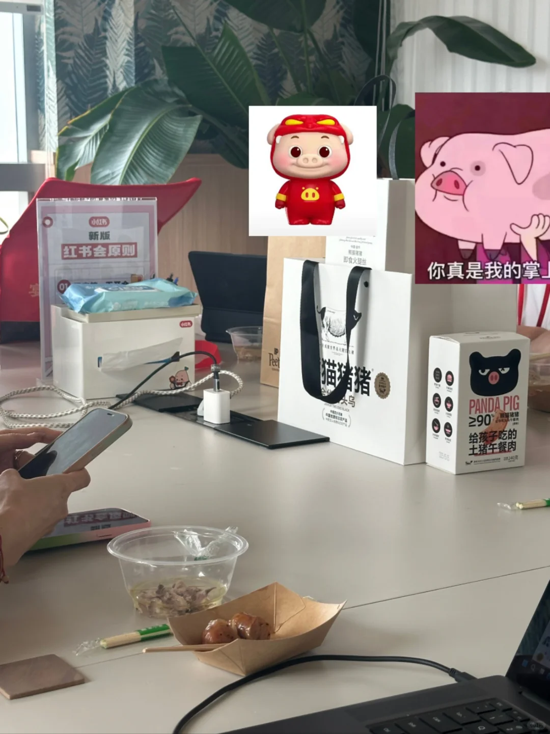 从猪圈到小红书总部，我花了两年半。