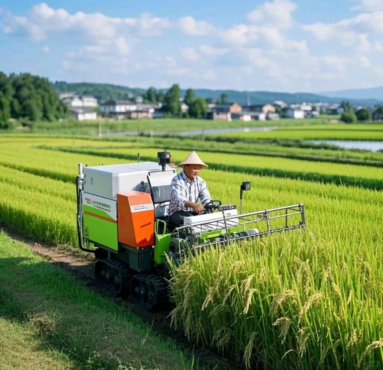 政策引领下的乡村蝶变