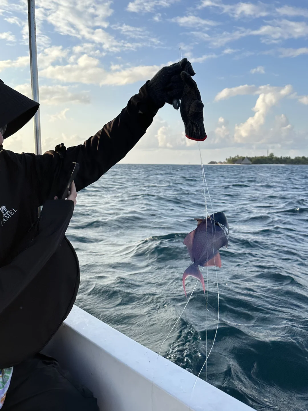 出海小记🐠𓇼 ᵕ̈ ˚ ༘🎣