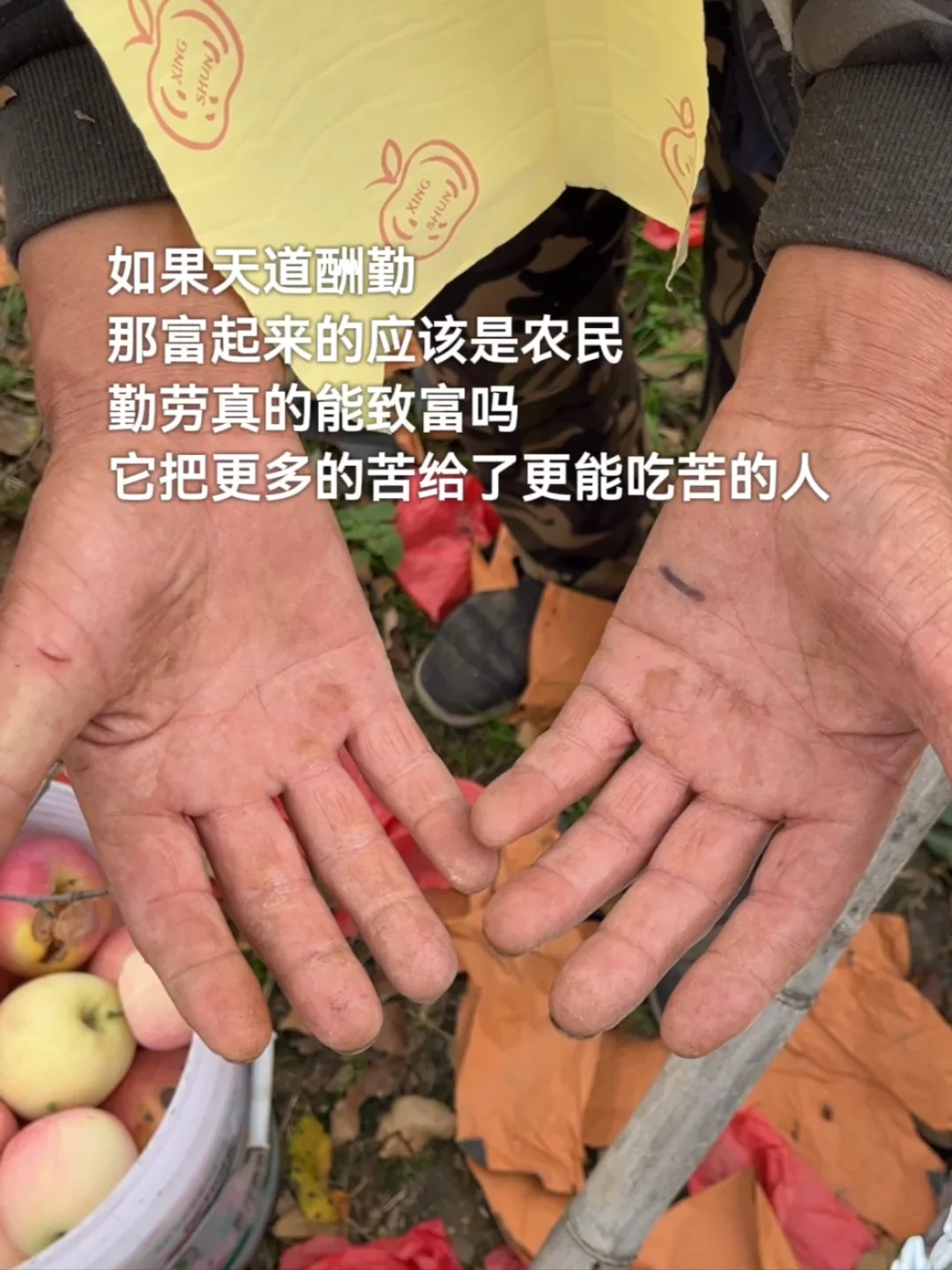 如果天道酬勤，那富起来的应该是农民🧑‍🌾