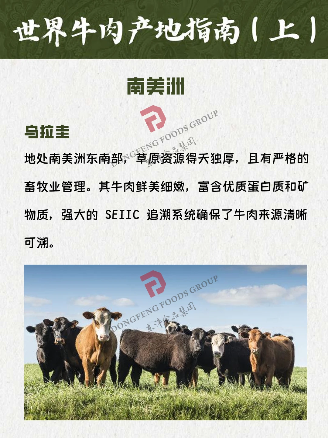 🌎 世界牛肉产地指南（上）