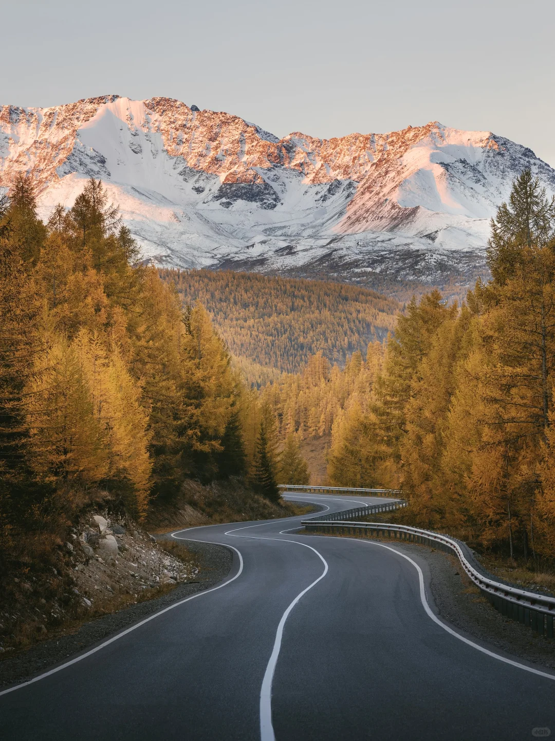 俄罗斯！免签！