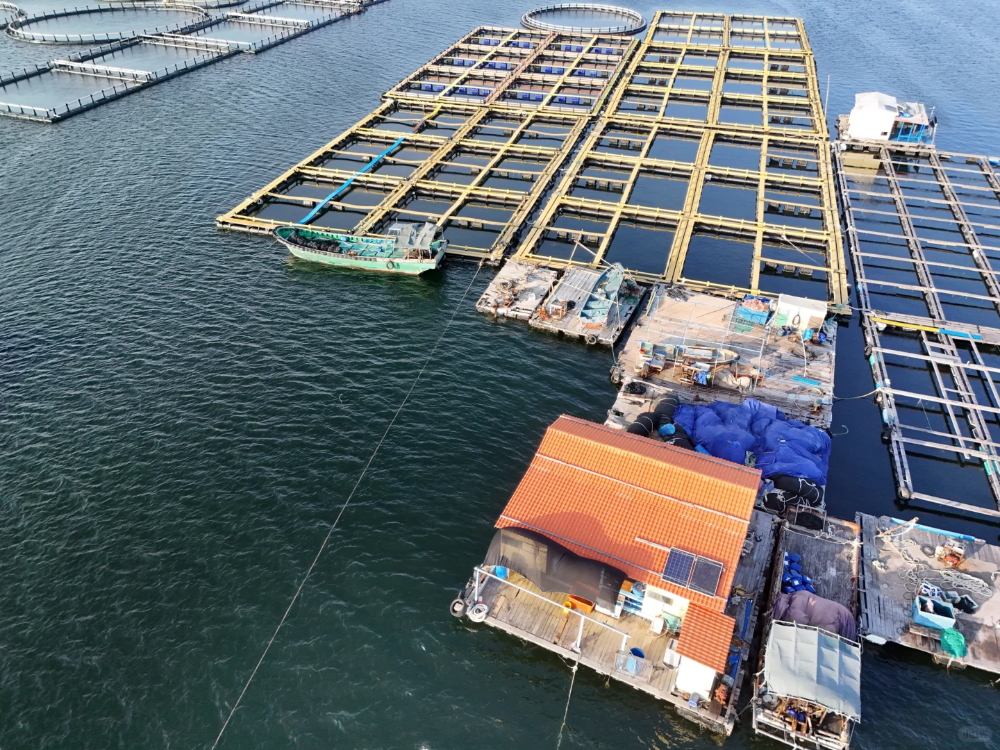 赶海的尽头是海钓的开始🌊