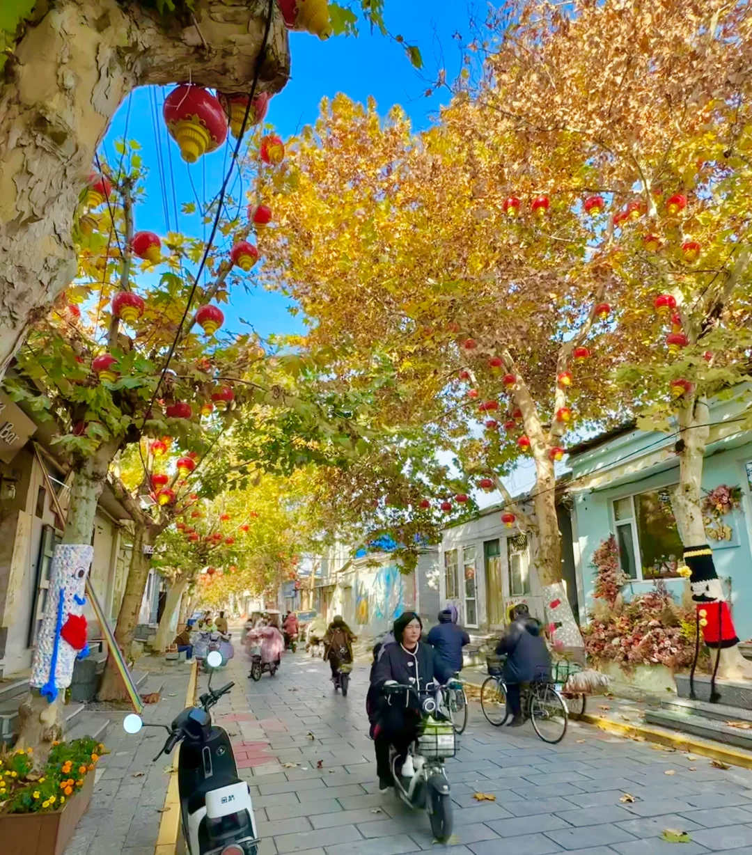 邢台降温啦🍂大树也穿上毛衣啦！Or📸打卡！