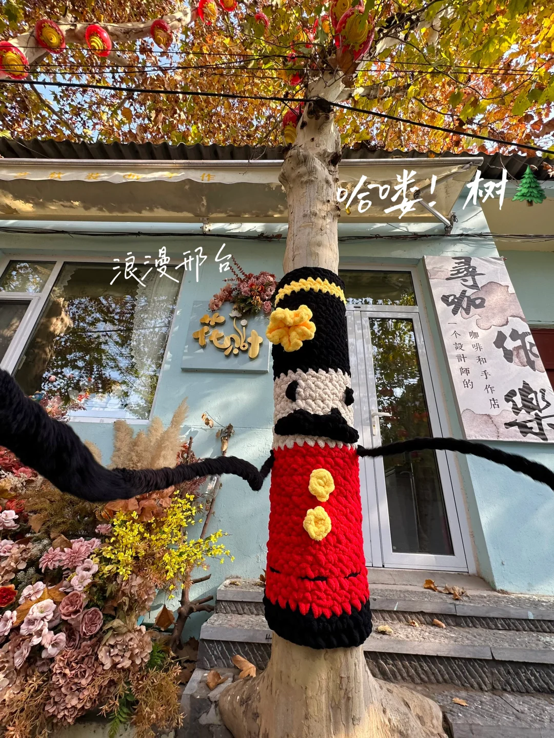 邢台降温啦🍂大树也穿上毛衣啦！Or📸打卡！