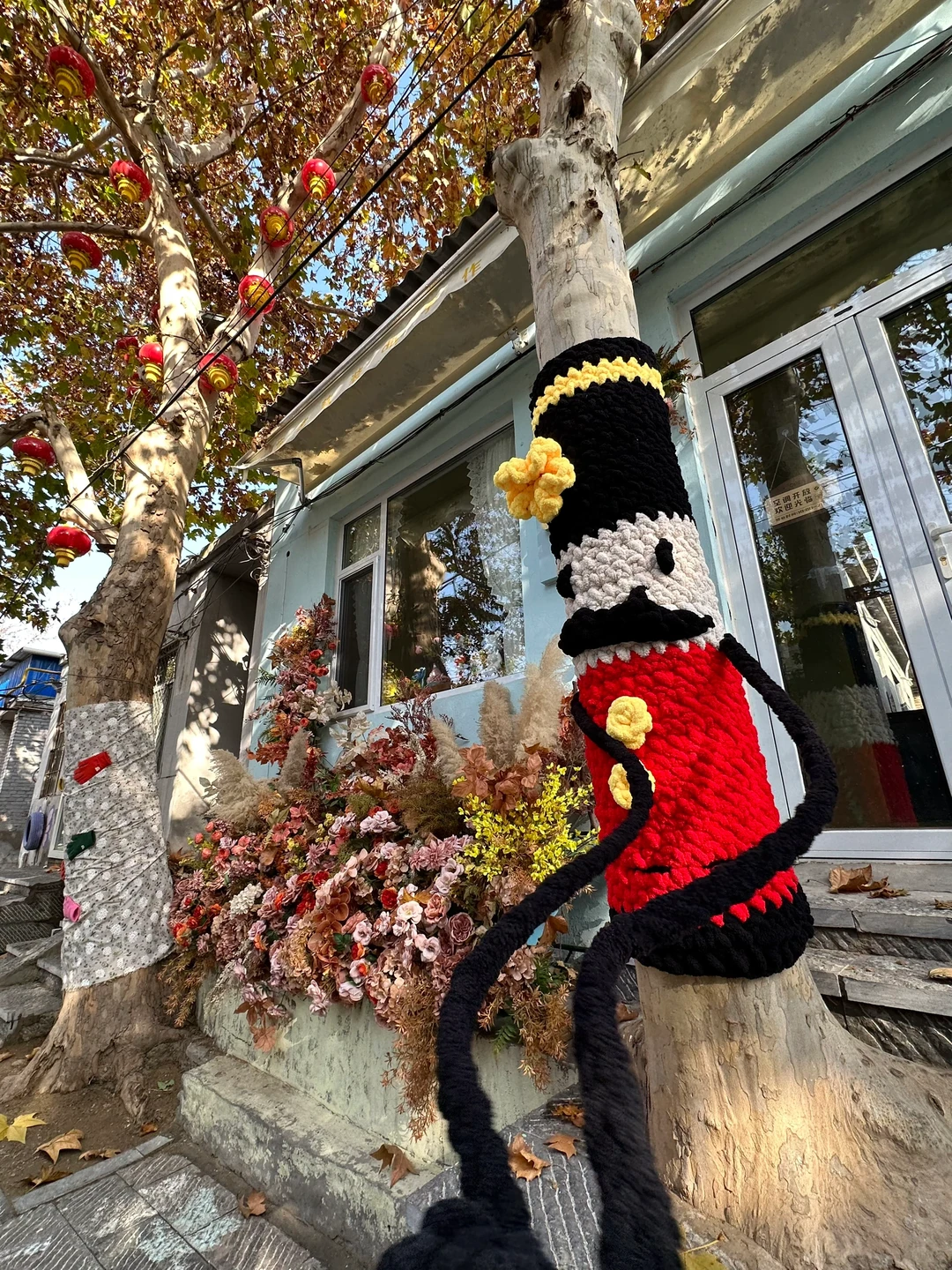 邢台降温啦🍂大树也穿上毛衣啦！Or📸打卡！