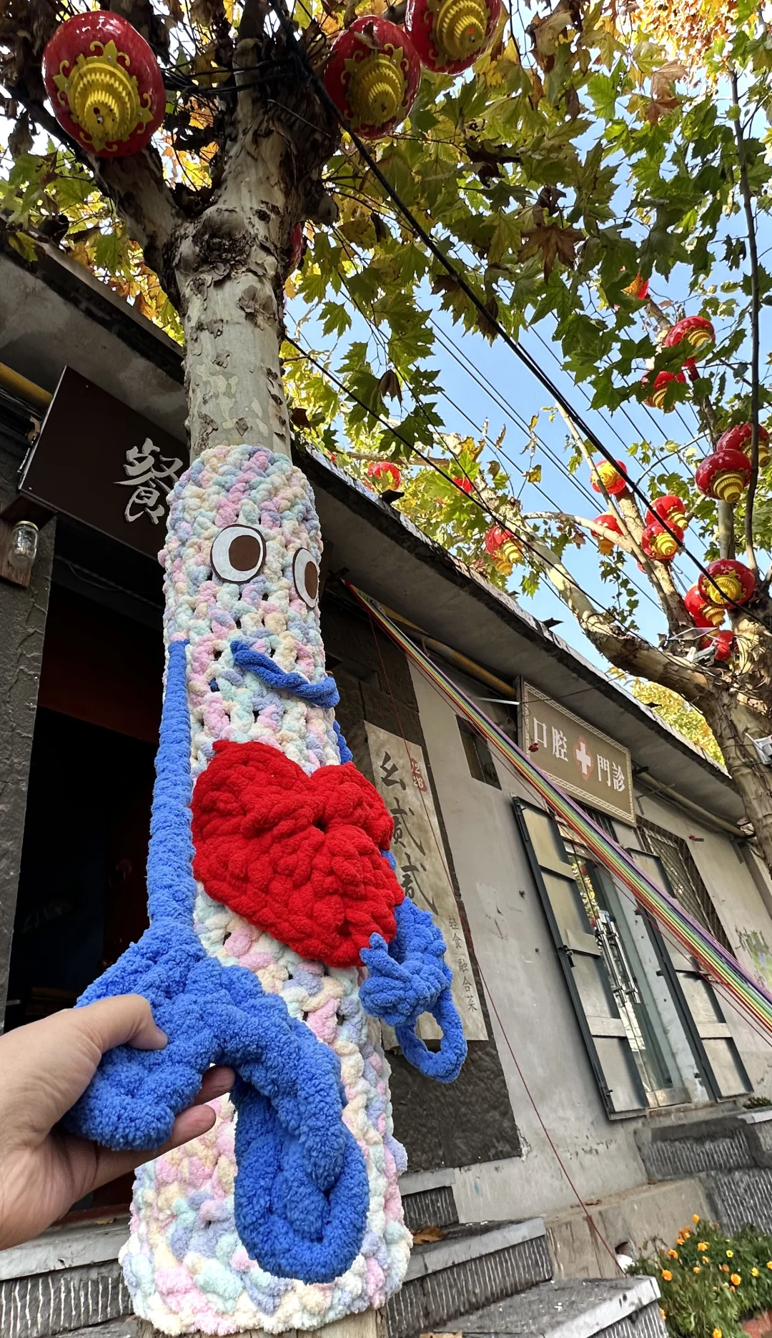 邢台降温啦🍂大树也穿上毛衣啦！Or📸打卡！