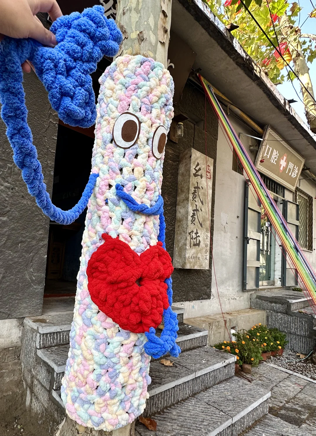 邢台降温啦🍂大树也穿上毛衣啦！Or📸打卡！