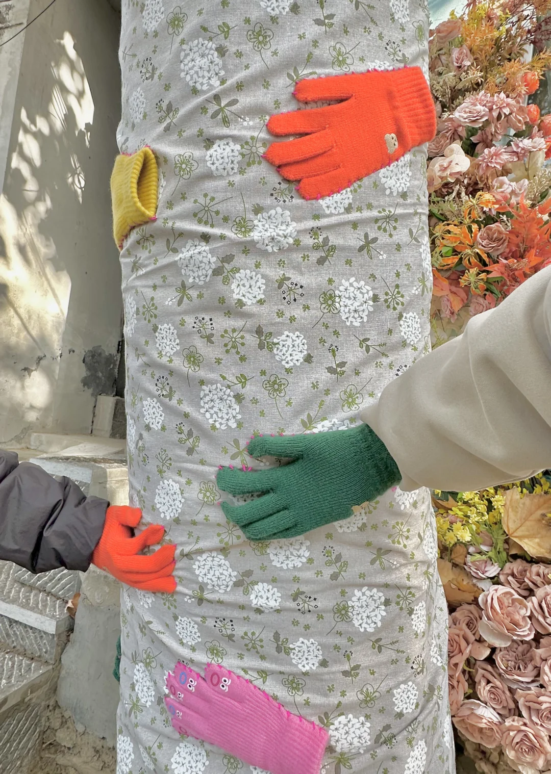 邢台降温啦🍂大树也穿上毛衣啦！Or📸打卡！