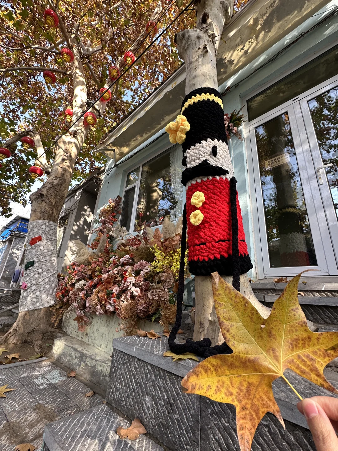 邢台降温啦🍂大树也穿上毛衣啦！Or📸打卡！