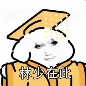 林少在此，你直接给我跪下