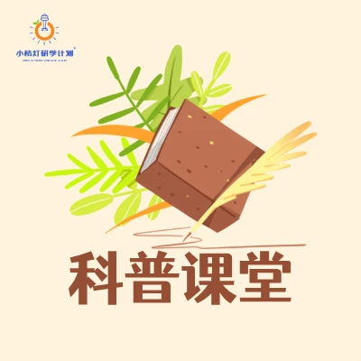 小桔灯科普课堂|海洋是摇曳的田地