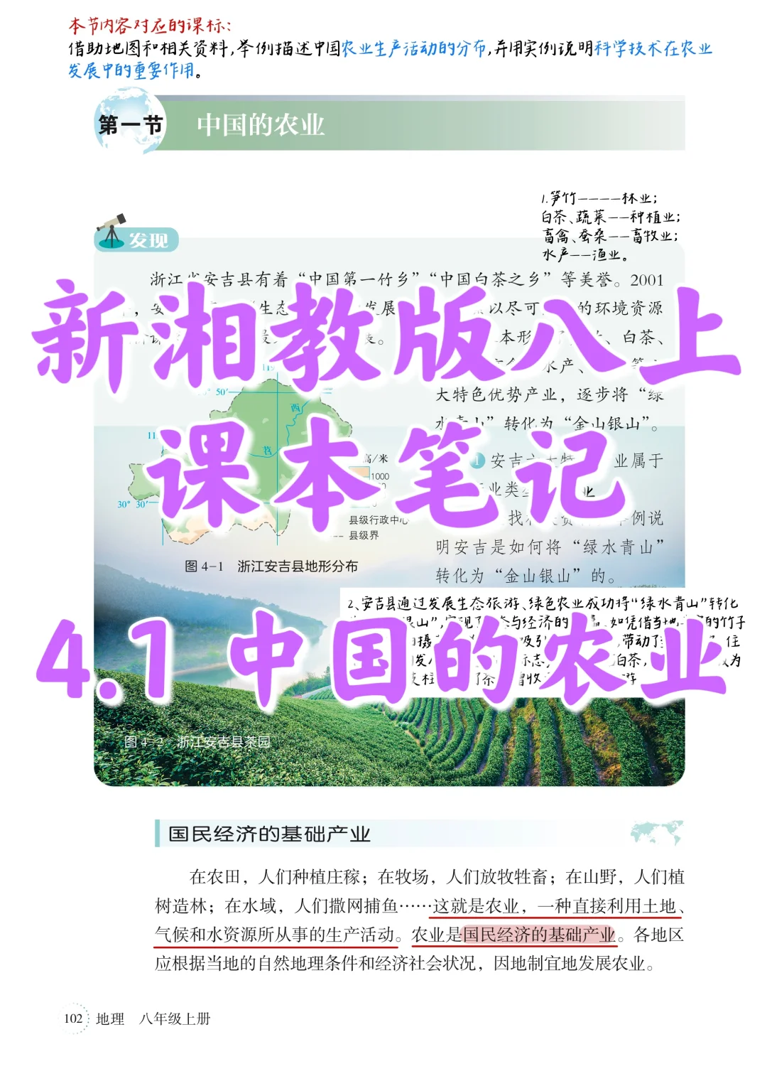 新湘教版八上｜课本笔记｜4.1 中国的农业
