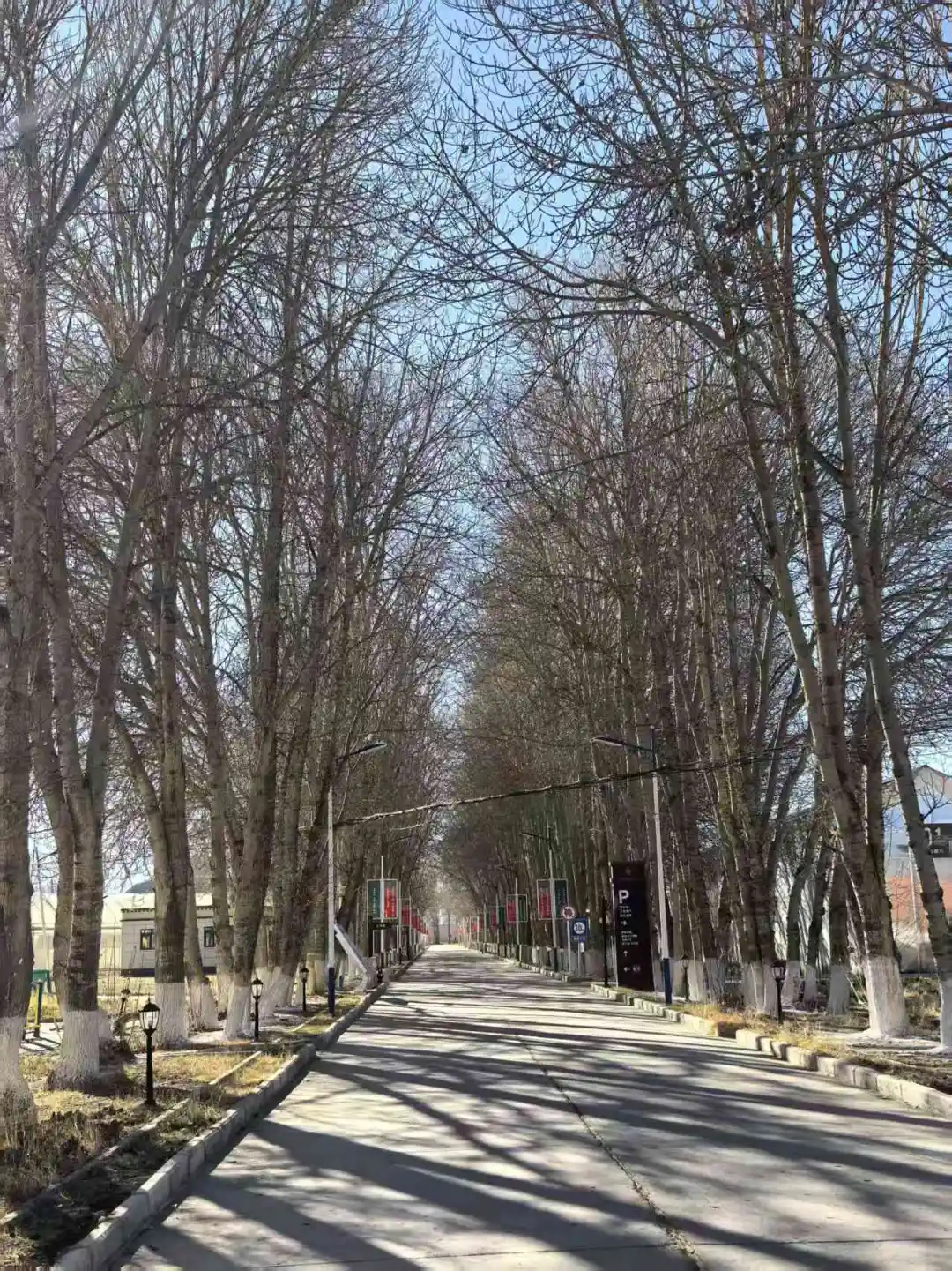 珠峰旅游达人打卡第十八站红河谷农业科技园