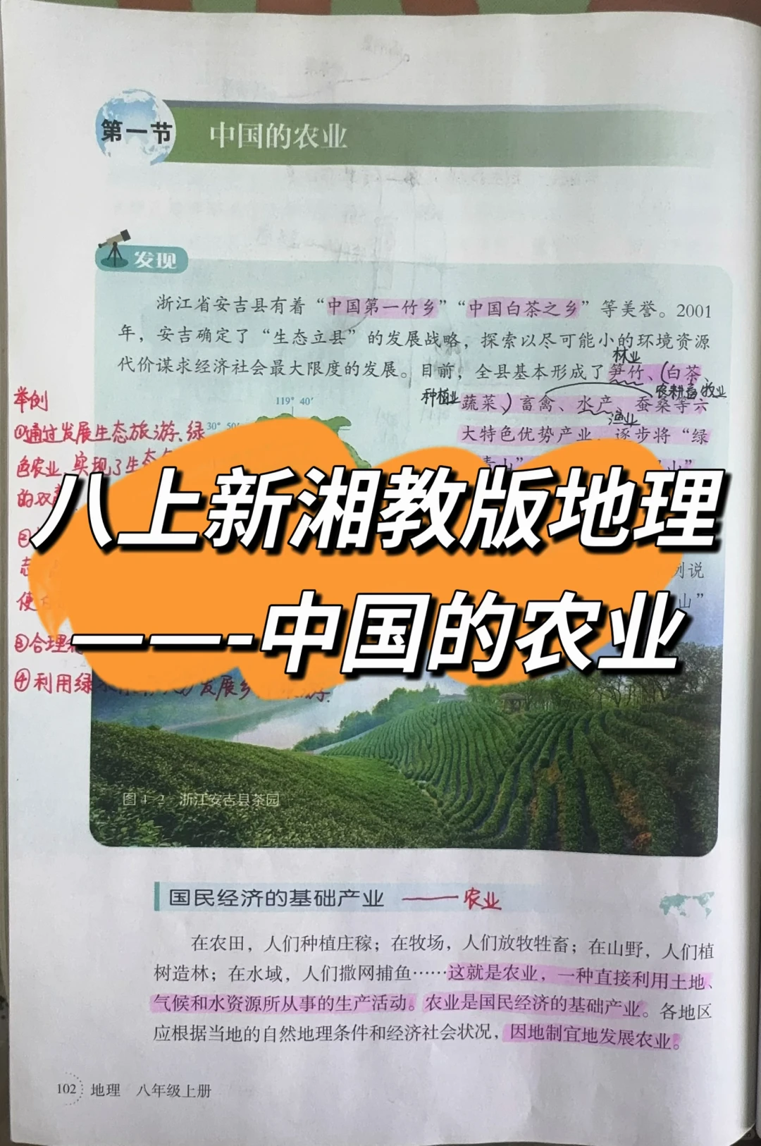 八上新湘教版地理——中国的农业