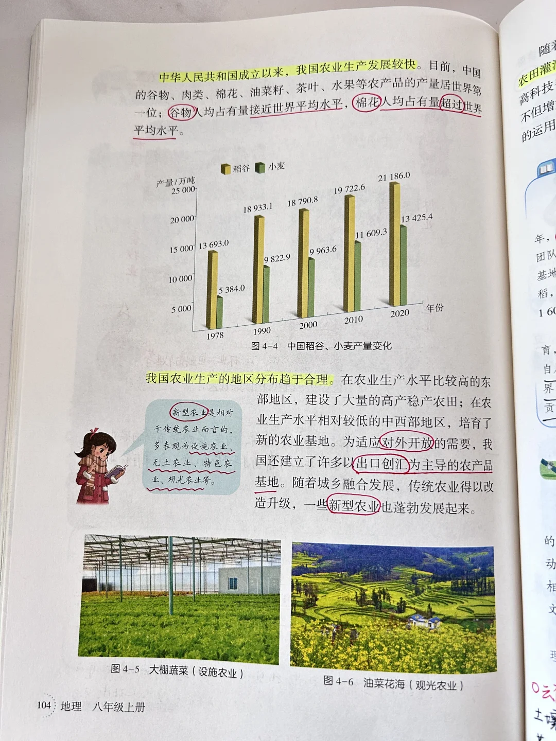 新湘教版 中国的农业🌾🌳🐑🐟