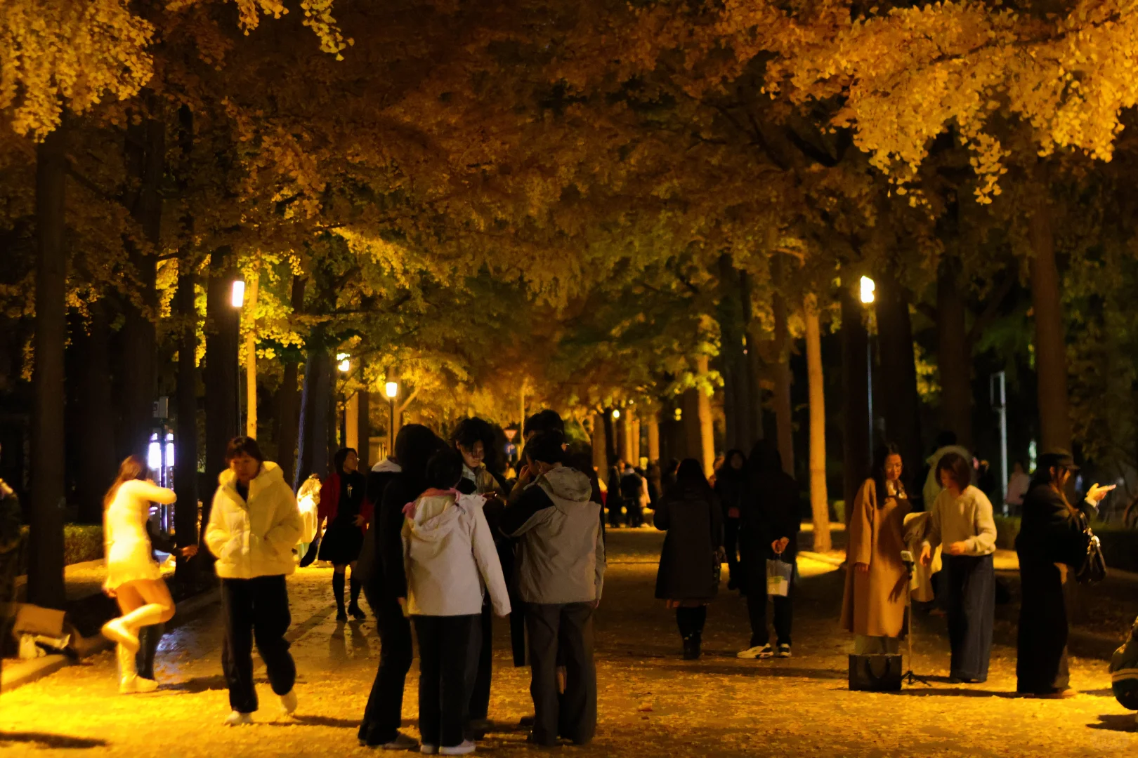 我拍到了秋景最美大学校园！北京林业大学！
