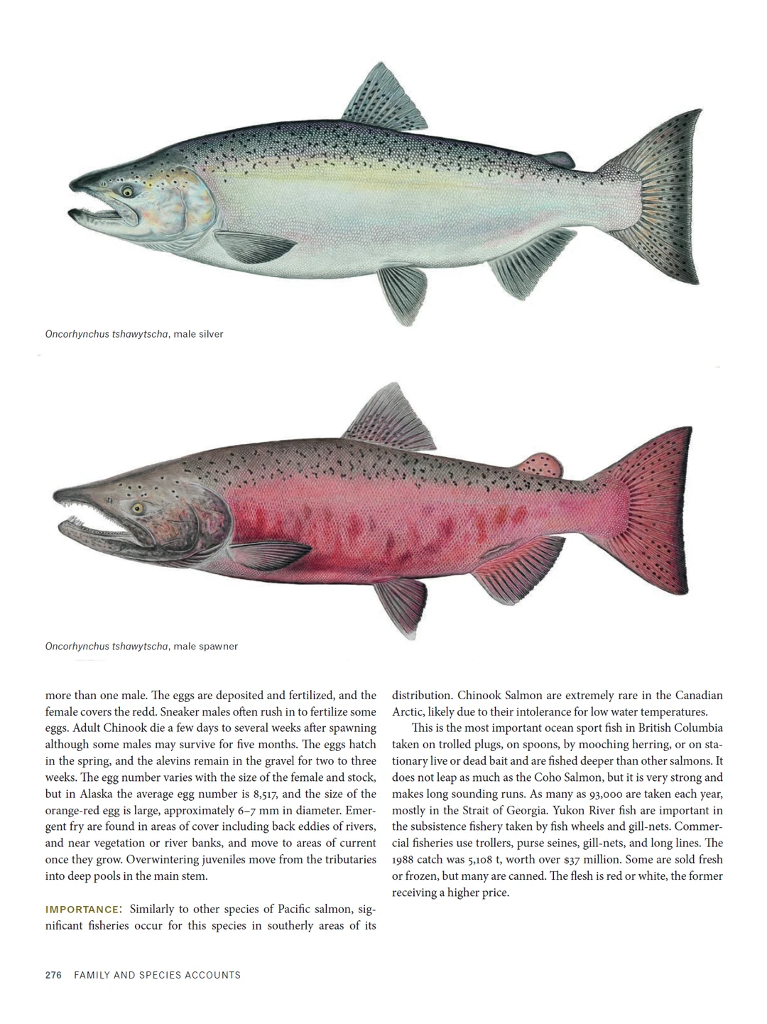 加拿大北极地区海洋鱼类图鉴