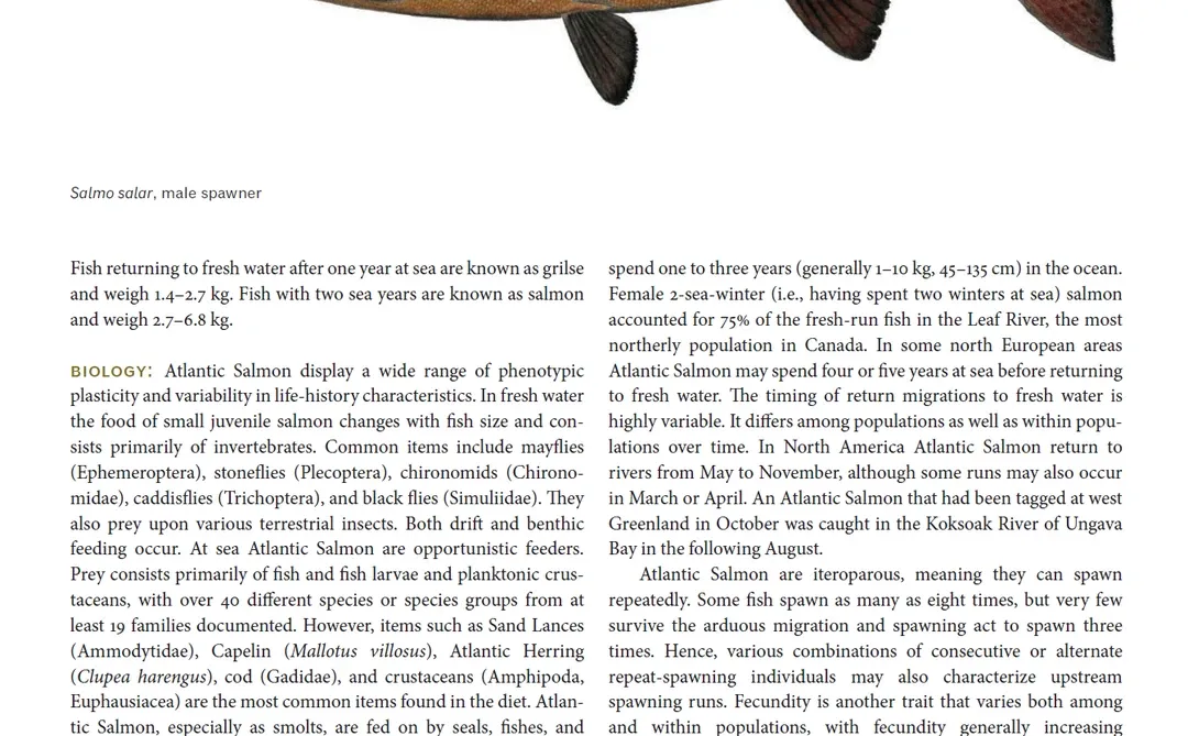 加拿大北极地区海洋鱼类图鉴