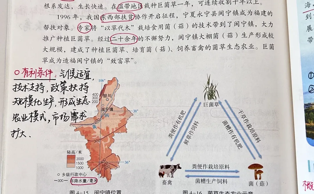 新湘教版 中国的农业🌾🌳🐑🐟