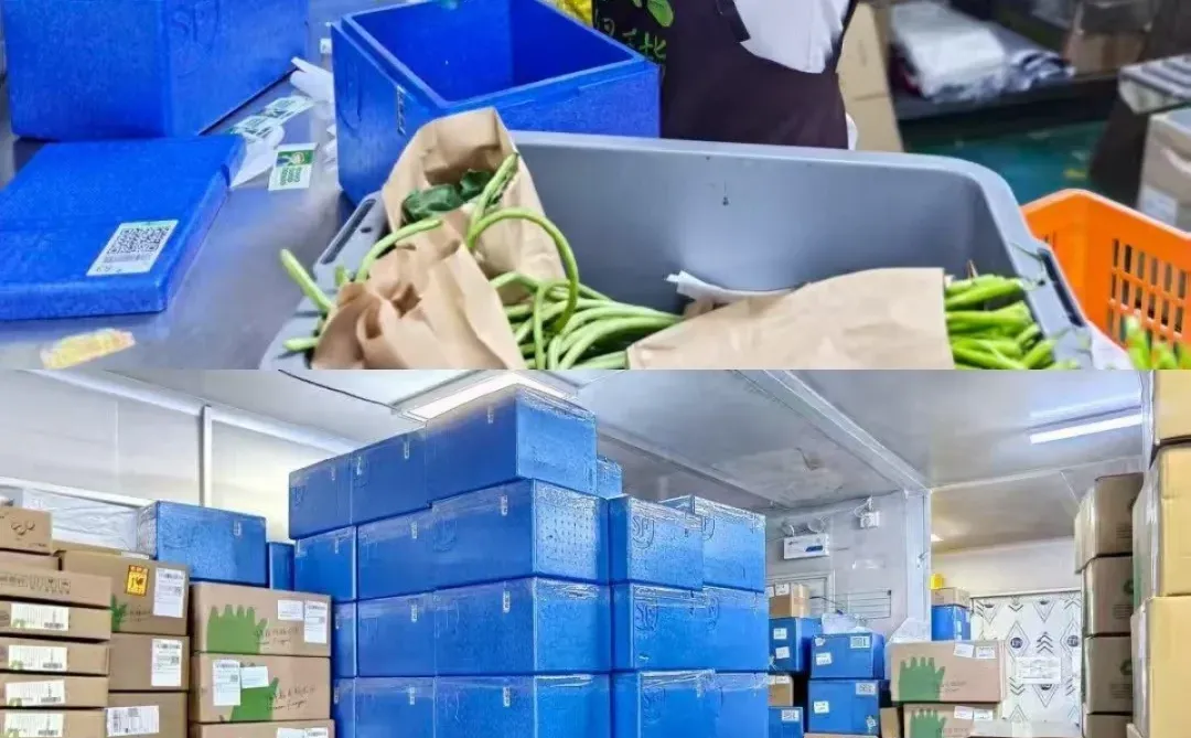 还在丢泡沫箱吗？快来加入我们的绿色循环