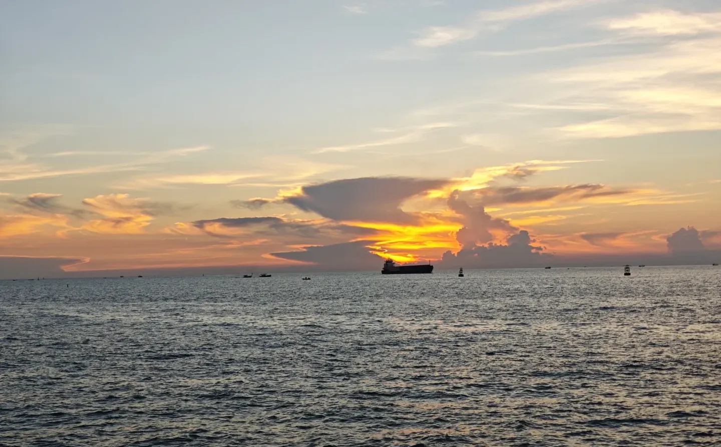 广西白蝶贝试养项目取得阶段性成功