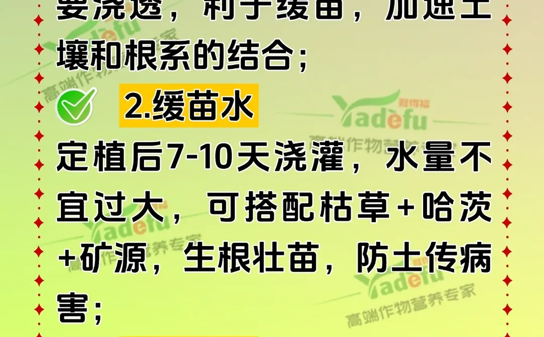 作物苗期三遍水