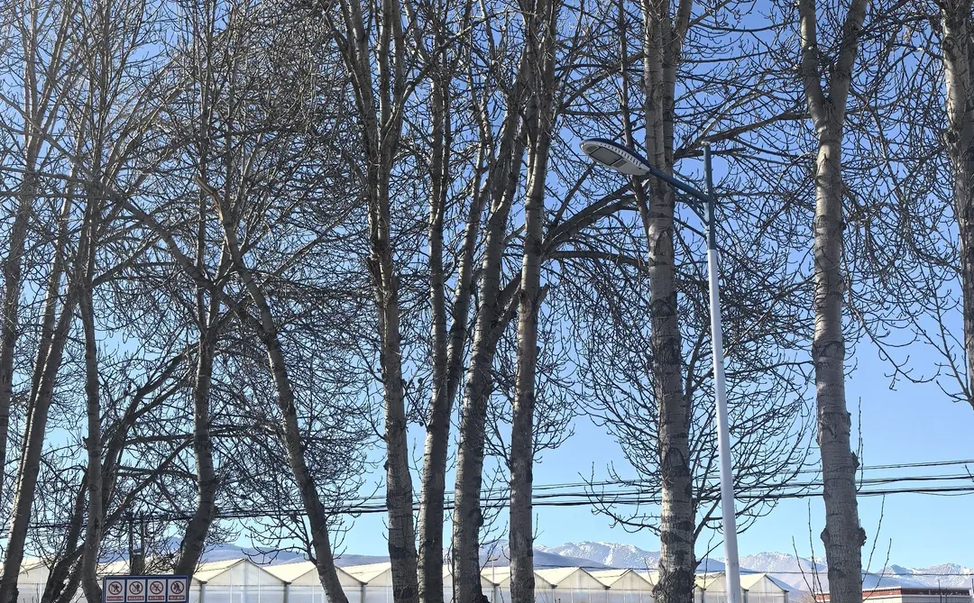 珠峰旅游达人打卡第十八站，红河谷现代农业