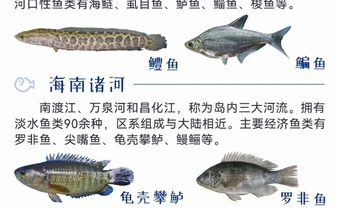 中国渔业地图 大全合集!