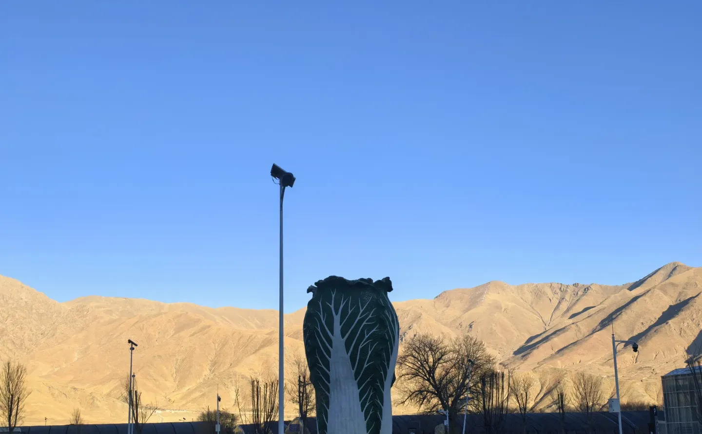 珠峰旅游达人打卡第十六站现代农业科技博览