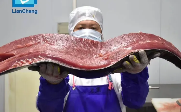 想吃到新鲜美味的金枪鱼？很简单！