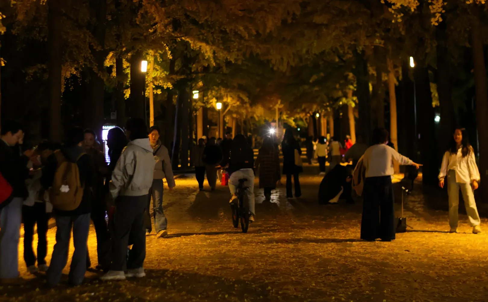 我拍到了秋景最美大学校园！北京林业大学！